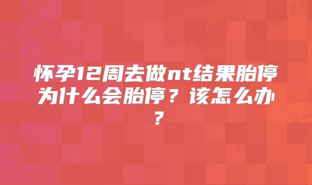 怀孕12周去做nt结果胎停为什么会胎停？该怎么办？