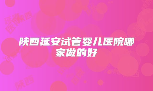 陕西延安试管婴儿医院哪家做的好
