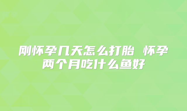 刚怀孕几天怎么打胎 怀孕两个月吃什么鱼好