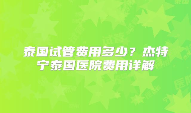 泰国试管费用多少？杰特宁泰国医院费用详解
