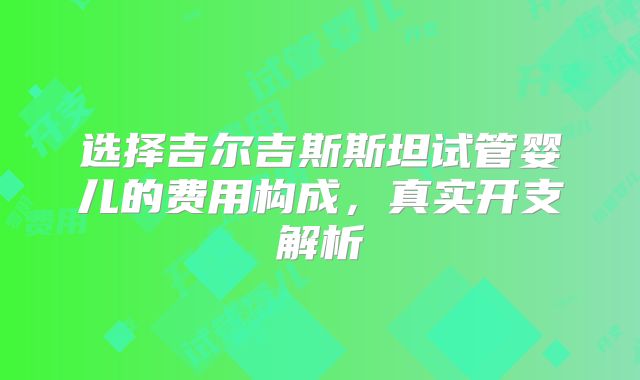 选择吉尔吉斯斯坦试管婴儿的费用构成，真实开支解析