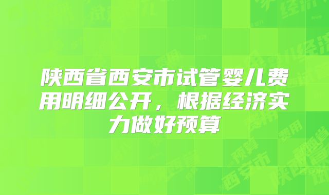 陕西省西安市试管婴儿费用明细公开，根据经济实力做好预算