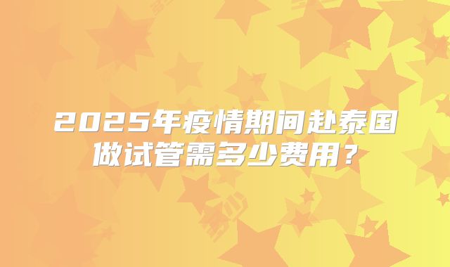 2025年疫情期间赴泰国做试管需多少费用？
