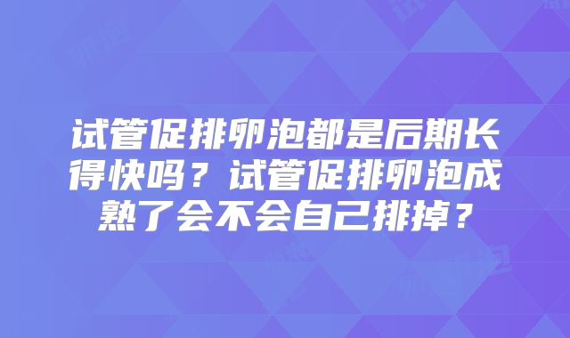 试管促排卵泡都是后期长得快吗？试管促排卵泡成熟了会不会自己排掉？