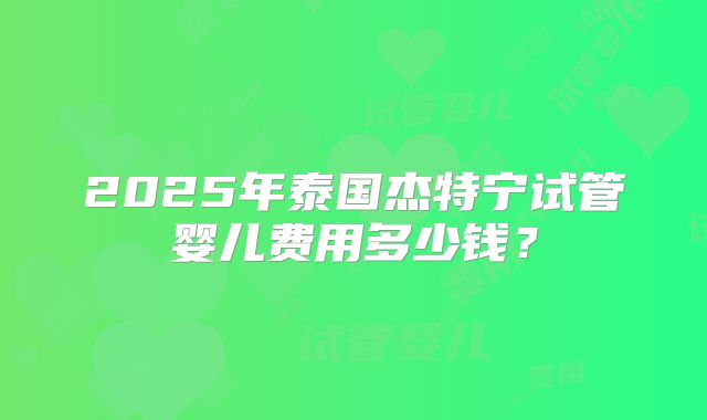 2025年泰国杰特宁试管婴儿费用多少钱？