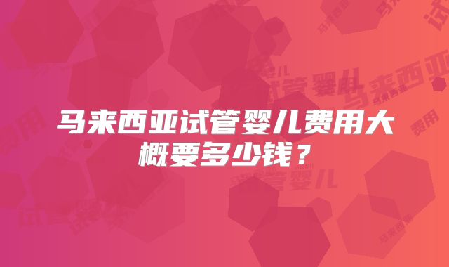 马来西亚试管婴儿费用大概要多少钱?