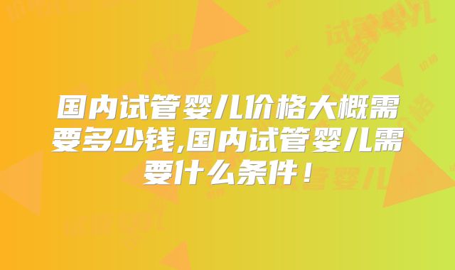 国内试管婴儿价格大概需要多少钱,国内试管婴儿需要什么条件！