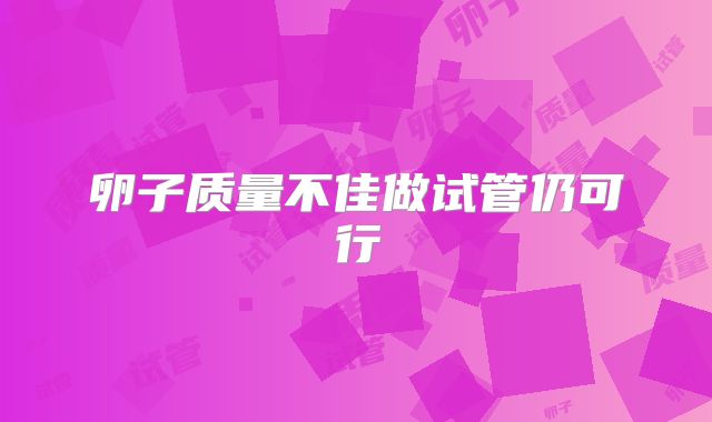 卵子质量不佳做试管仍可行