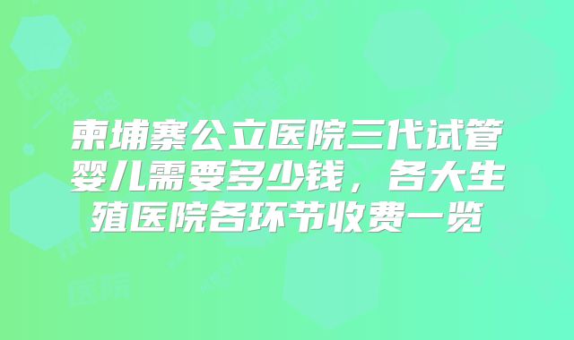 柬埔寨公立医院三代试管婴儿需要多少钱,各大生殖医院各环节收费一览