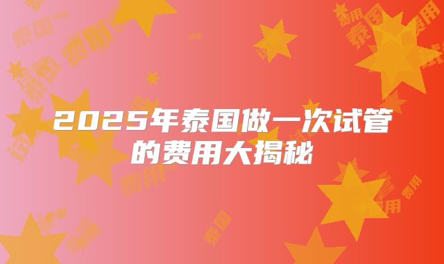 2025年泰国做一次试管的费用大揭秘