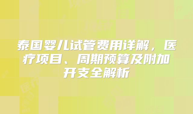 泰国婴儿试管费用详解,医疗项目、周期预算及附加开支全解析