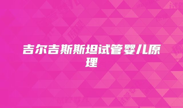 吉尔吉斯斯坦试管婴儿原理