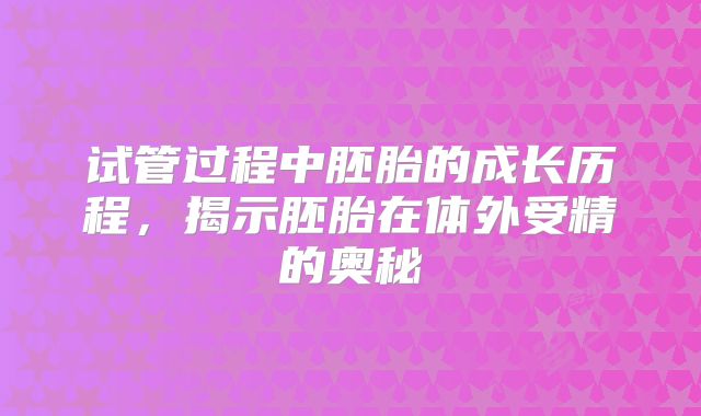 试管过程中胚胎的成长历程，揭示胚胎在体外受精的奥秘
