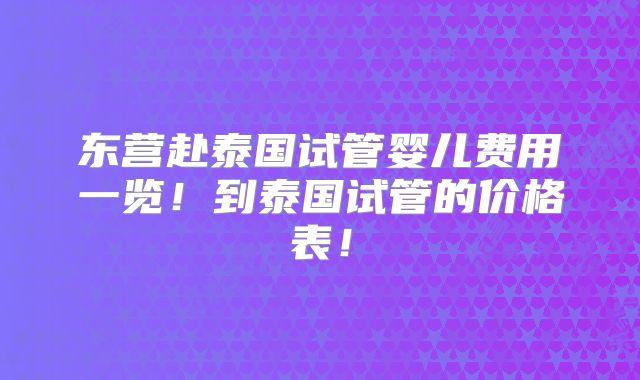 东营赴泰国试管婴儿费用一览！到泰国试管的价格表！