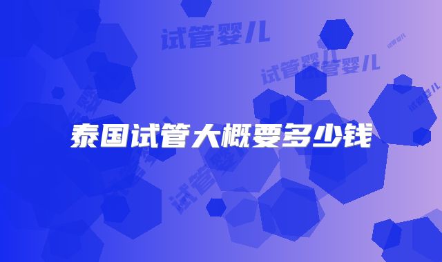 泰国试管大概要多少钱