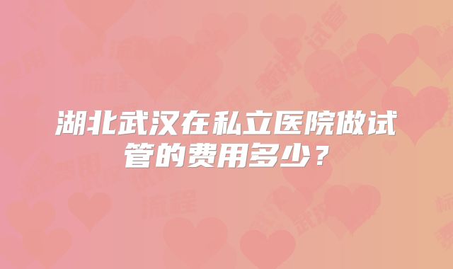 湖北武汉在私立医院做试管的费用多少？