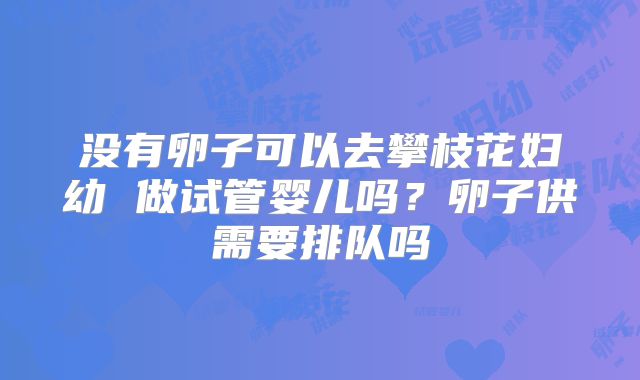 没有卵子可以去攀枝花妇幼 做试管婴儿吗？卵子供需要排队吗