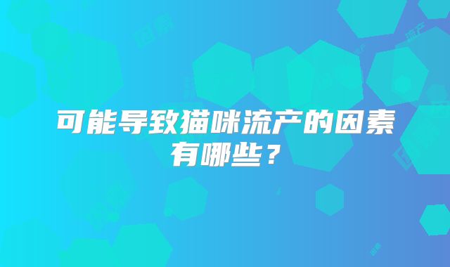 可能导致猫咪流产的因素有哪些?