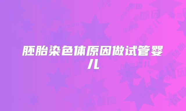 胚胎染色体原因做试管婴儿