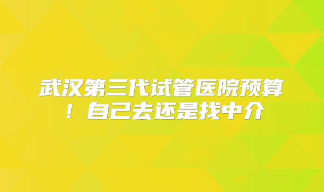 武汉第三代试管医院预算！自己去还是找中介