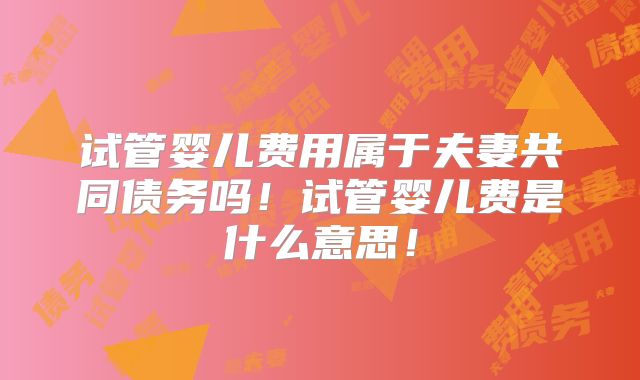 试管婴儿费用属于夫妻共同债务吗！试管婴儿费是什么意思！