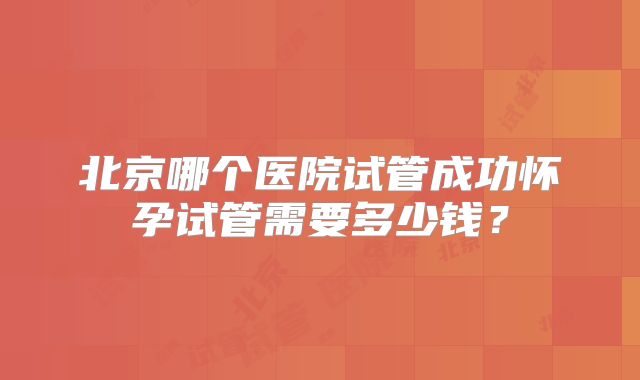 北京哪个医院试管成功怀孕试管需要多少钱？