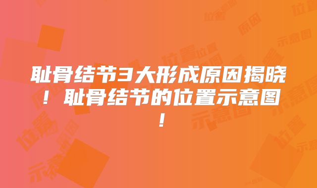 耻骨结节3大形成原因揭晓！耻骨结节的位置示意图！