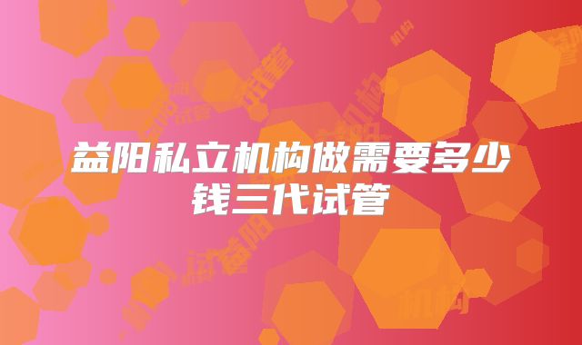 益阳私立机构做需要多少钱三代试管