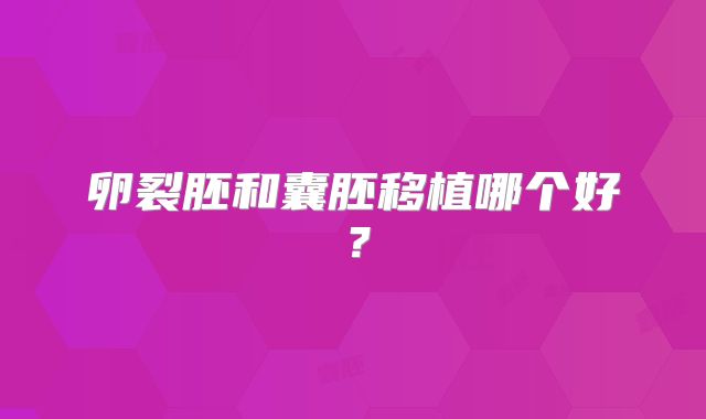 卵裂胚和囊胚移植哪个好?