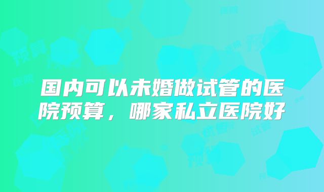 国内可以未婚做试管的医院预算,哪家私立医院好