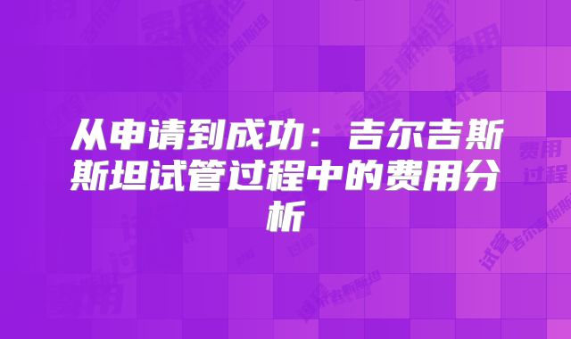 从申请到成功：吉尔吉斯斯坦试管过程中的费用分析