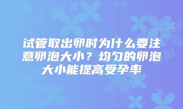 试管取出卵时为什么要注意卵泡大小？均匀的卵泡大小能提高受孕率