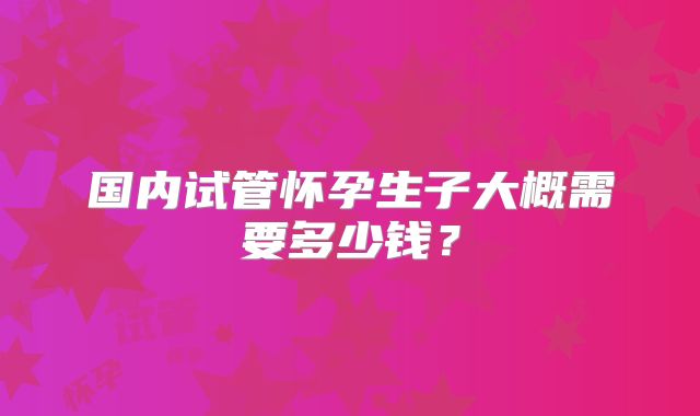 国内试管怀孕生子大概需要多少钱？