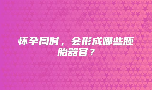 怀孕周时，会形成哪些胚胎器官？