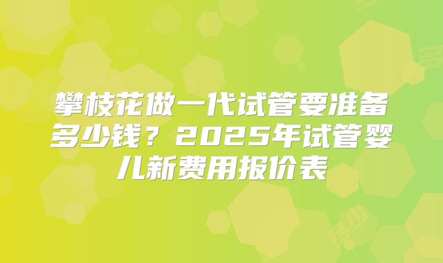 攀枝花做一代试管要准备多少钱？2025年试管婴儿新费用报价表