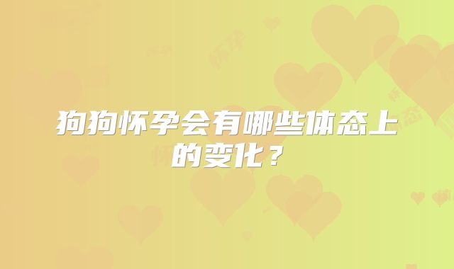 狗狗怀孕会有哪些体态上的变化？