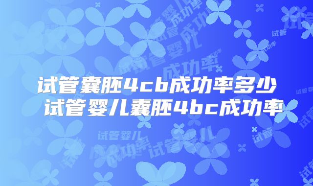 试管囊胚4cb成功率多少 试管婴儿囊胚4bc成功率