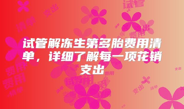 试管解冻生第多胎费用清单，详细了解每一项花销支出