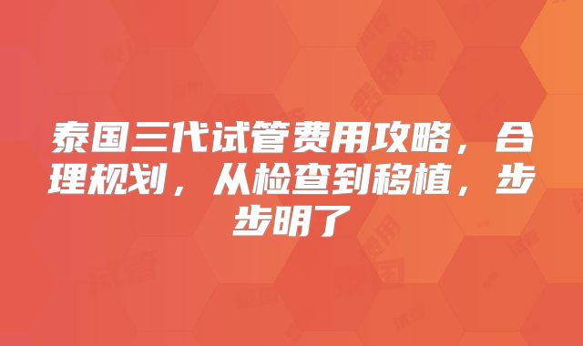 泰国三代试管费用攻略，合理规划，从检查到移植，步步明了