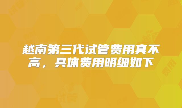 越南第三代试管费用真不高，具体费用明细如下