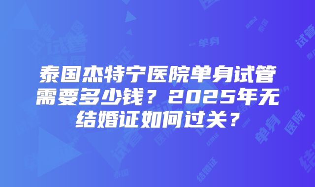 泰国杰特宁医院单身试管需要多少钱?2025年无结婚证如何过关?