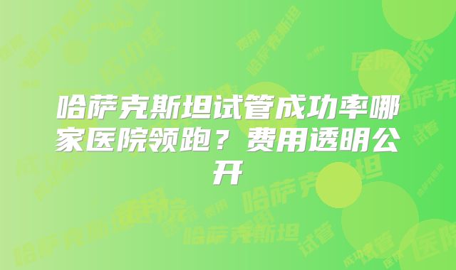 哈萨克斯坦试管成功率哪家医院领跑？费用透明公开