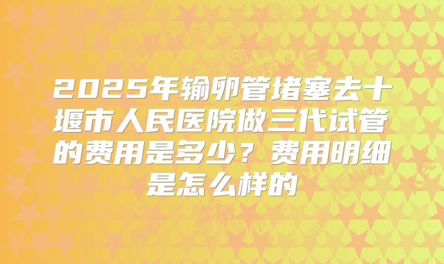 2025年输卵管堵塞去十堰市人民医院做三代试管的费用是多少？费用明细是怎么样的