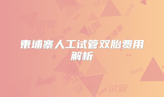 柬埔寨人工试管双胎费用解析