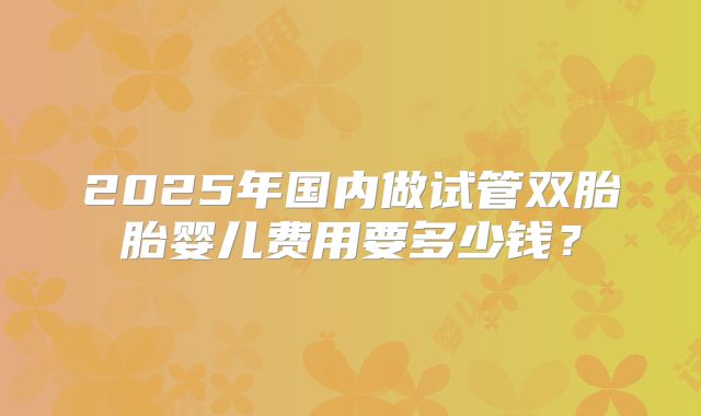 2025年国内做试管双胎胎婴儿费用要多少钱?