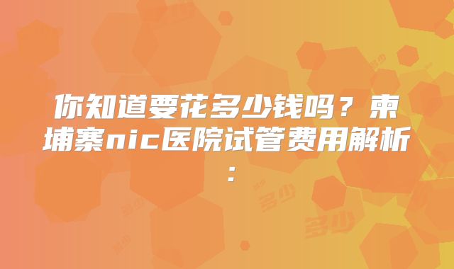 你知道要花多少钱吗？柬埔寨nic医院试管费用解析：