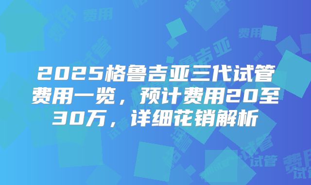2025格鲁吉亚三代试管费用一览,预计费用20至30万,详细花销解析