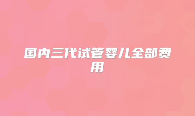 国内三代试管婴儿全部费用