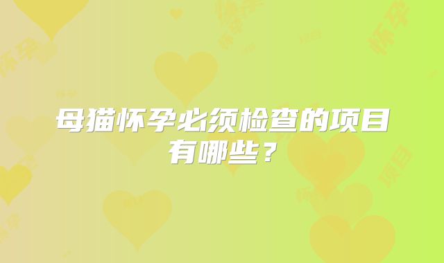 母猫怀孕必须检查的项目有哪些?