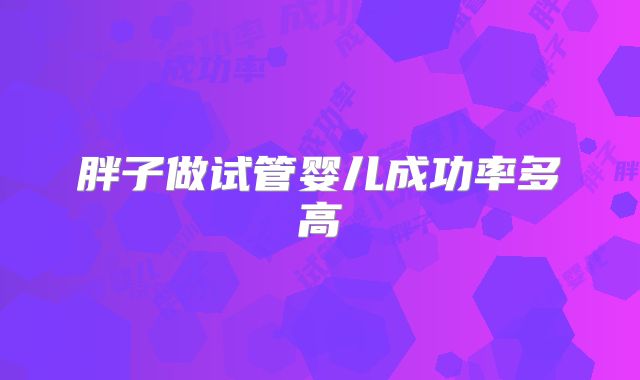 胖子做试管婴儿成功率多高